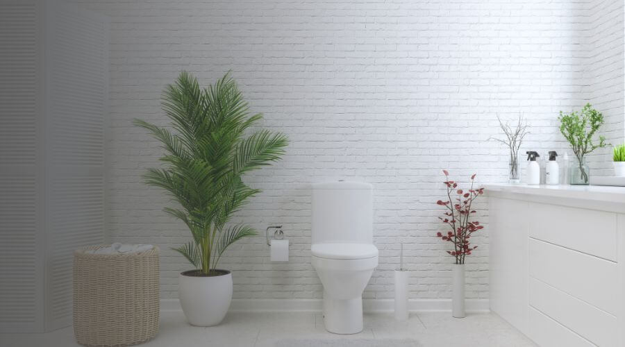Why Choose Expert Porta Potty Rentals